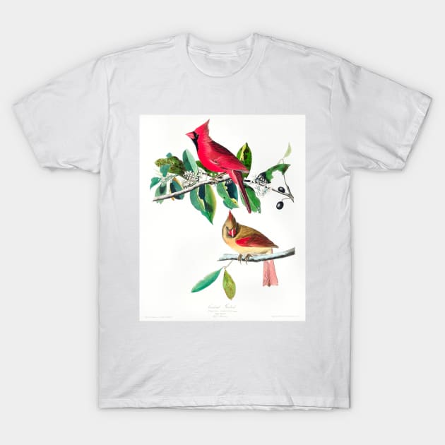 Cardinal Grosbeak from Birds of America (1827) T-Shirt by WAITE-SMITH VINTAGE ART